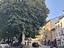Immagine 13