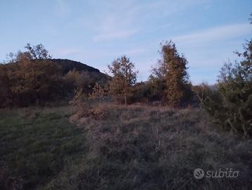 Terreno agricolo panoramico con piccolo annesso