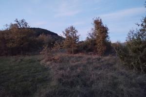 Terreno agricolo panoramico con piccolo annesso