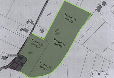 Terreno agricolo ettari 2,5243