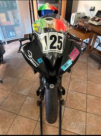 yamaha R6