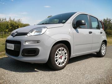 Fiat Panda 1.2 EasyPower Easy