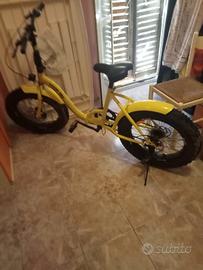 bicicletta