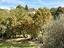 Immagine 10
