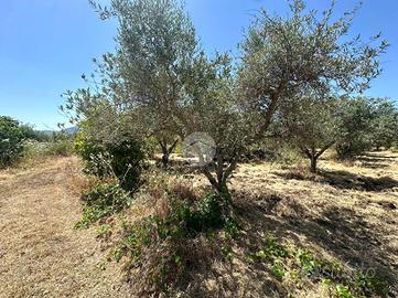 TER. AGRICOLO A CASTELDACCIA