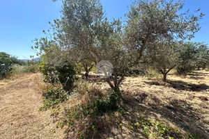 TER. AGRICOLO A CASTELDACCIA