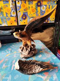 Aquila da collezione rotta
