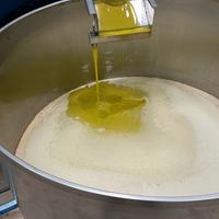 lattine con olio 5 LT puglia 