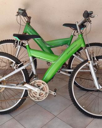 Coppia Biciclette MTB Pininfarina