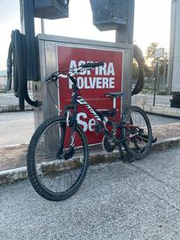 Mtb trubbiani 24
