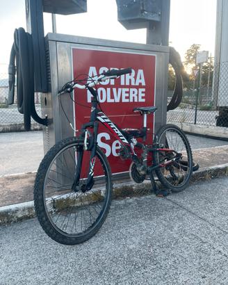 Mtb trubbiani 24