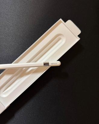 Apple Pencil (USB-C)