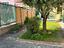 Immagine 6
