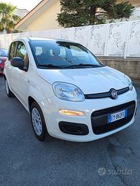 Fiat Panda 1.2 69 cv Easy