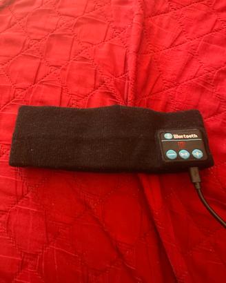 Fascia  elastica