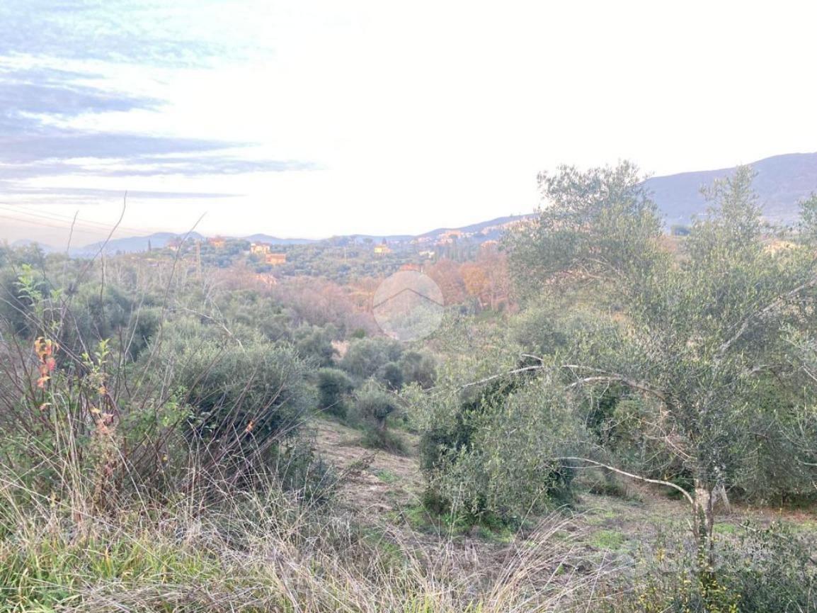 TER. AGRICOLO A PALOMBARA SABINA - Altro