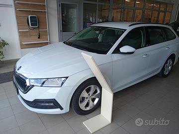 Octavia Wagon 2.0 TDI Executive 115 CV Dsg