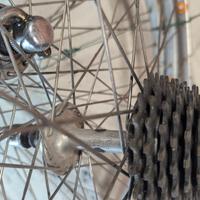 ruote campagnolo record