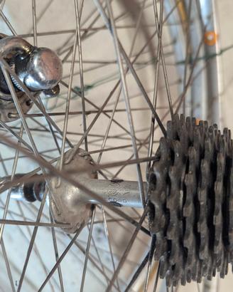 ruote campagnolo record