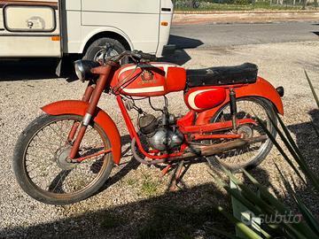 Benelli motobi sport