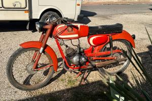 Benelli motobi sport