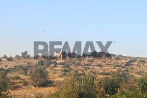 Terreno - Noto