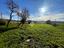 Immagine 21
