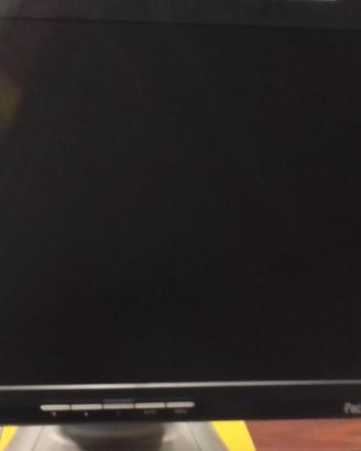 Monitor per Pc Packard Bell da 19 Pollici