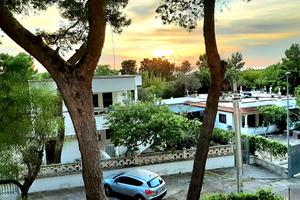 LIDO SILVANA a 250mt DAL MARE