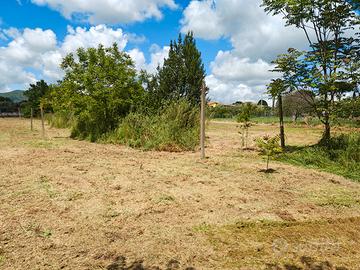 Terreno di 13500 mq con pozzo artesiano