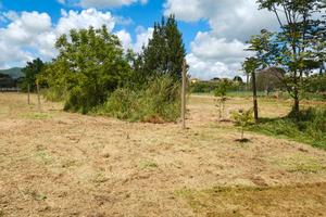 Terreno di 13500 mq con pozzo artesiano