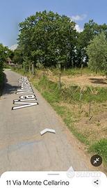 VENDITA TERRENO 8000 m2