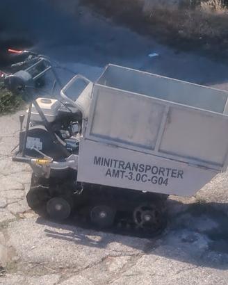 motocarriola cingolata