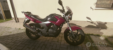 Yamaha ybr 250 Amazzonia