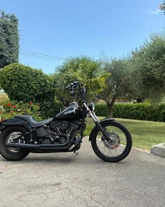 Harley-davidson 1450 Softail Night Train