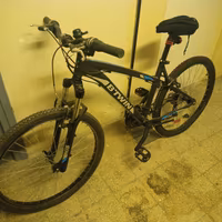 Bicicletta Mountain bike