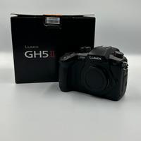 Panasonic Lumix GH5 Mark II