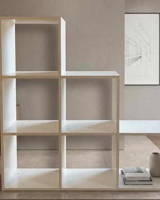 Libreria ed espositore 
