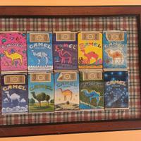 " collezione camel "