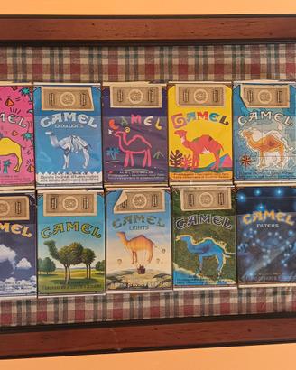 " collezione camel "