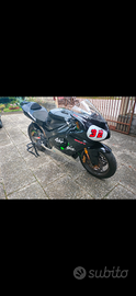 Kawasaki zx 6rr pista (targata)