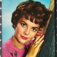  Cartolina a colori di Natalie Wood anni 60 nuova