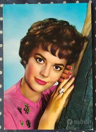  Cartolina a colori di Natalie Wood anni 60 nuova