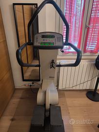 TECHNOGYM STEP XT PROFESSIONALE