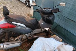 xmax 250 2007