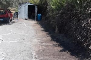 Terreno uliveto zona Fuondi Agropoli 