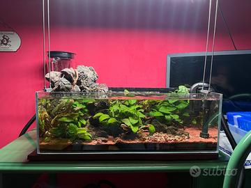 Acquario COMPLETO PRONTO