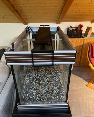 Acquario