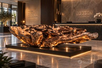 Radice  scultorea naturale pezzo unico per design 