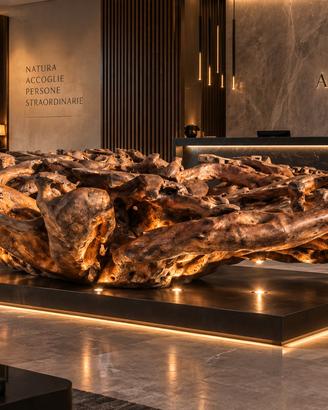 Radice  scultorea naturale pezzo unico per design 